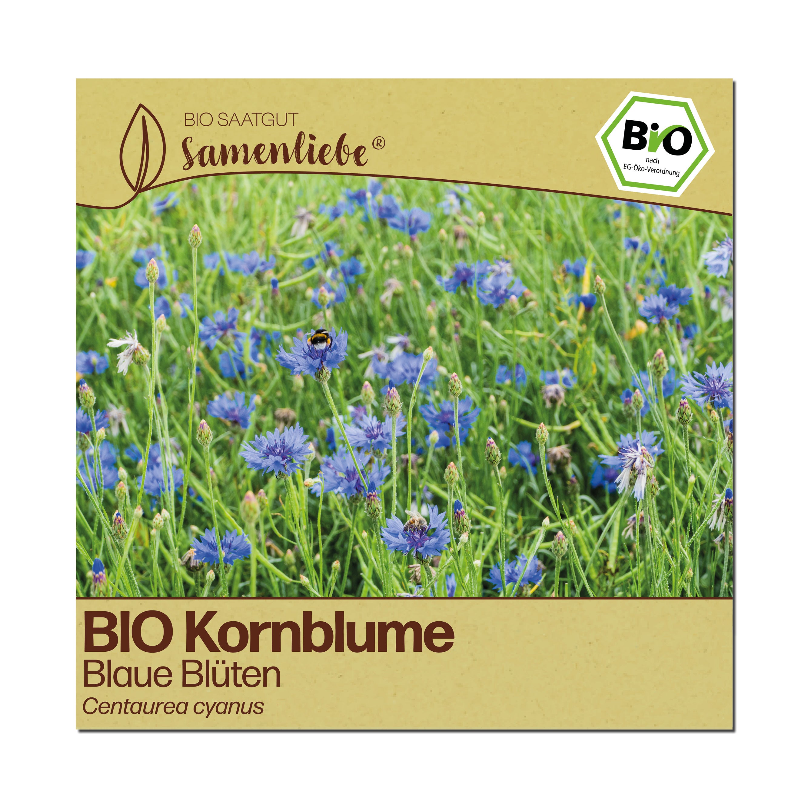 BIO Kornblume "Blaue Blüten"