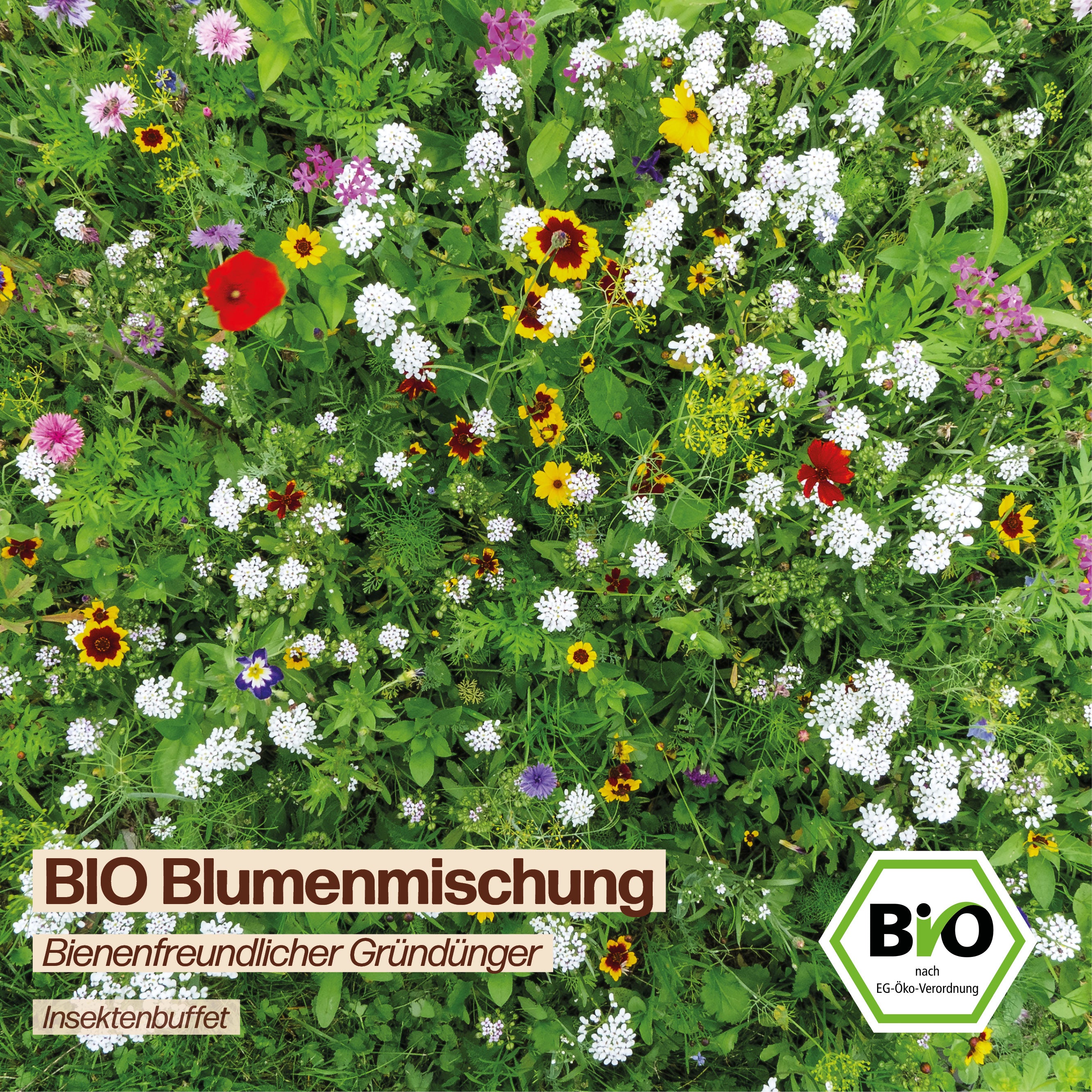 BIO Blumenmischung "Bienenfreundlicher Gründünger"