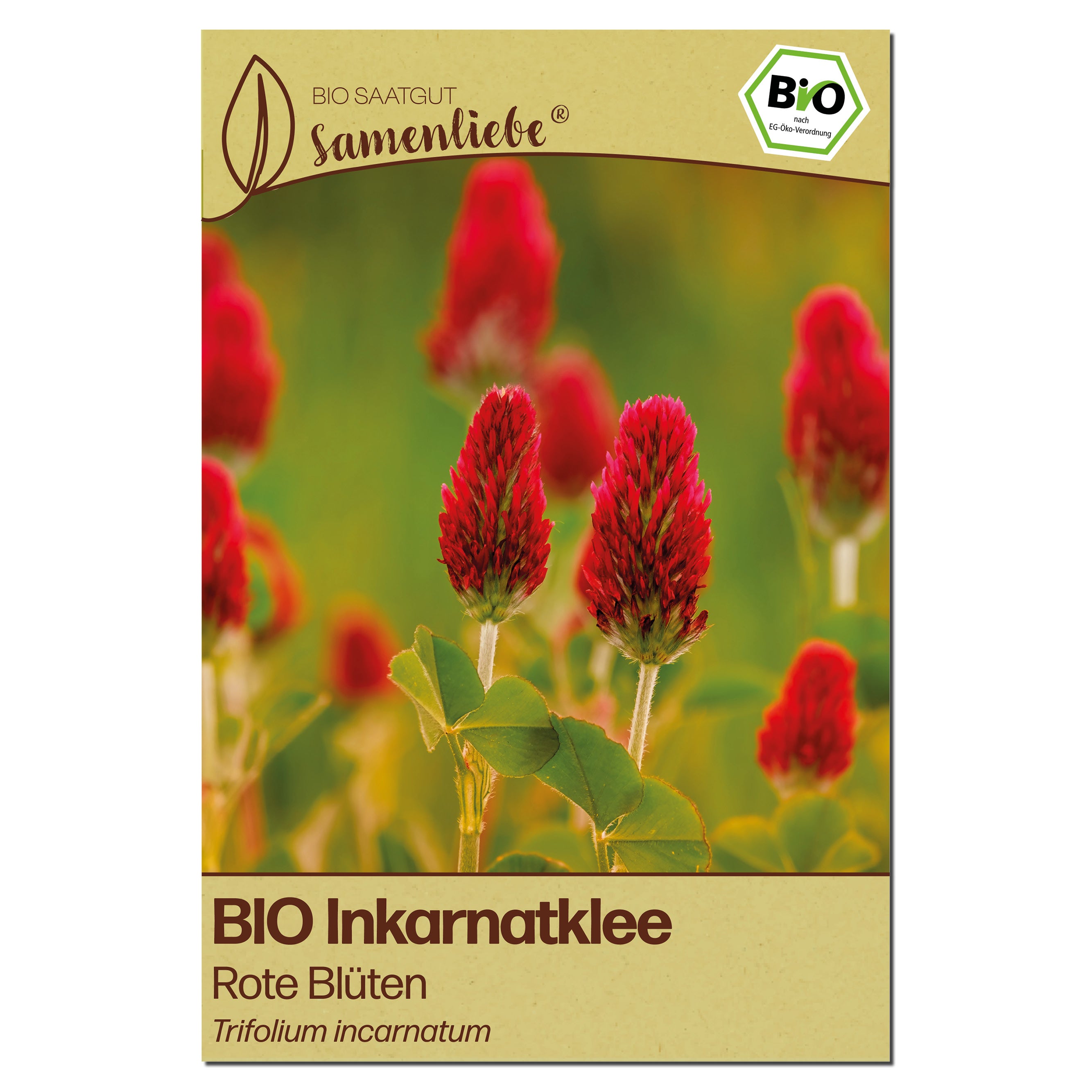 BIO Inkarnatklee "Gründünger"