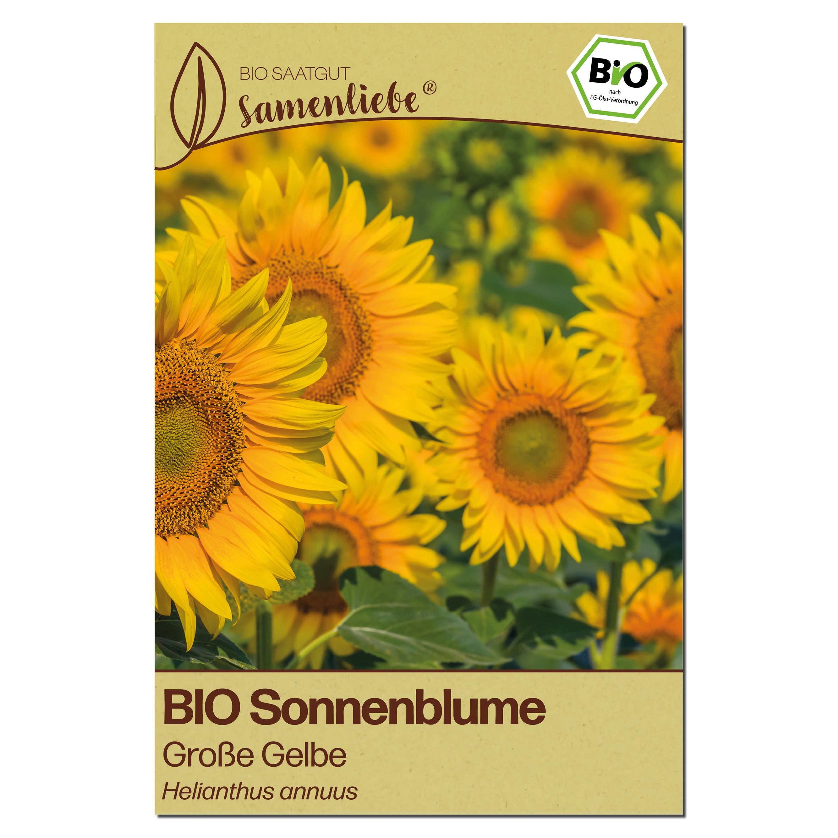 BIO Sonnenblume "XL Sonnenblume"