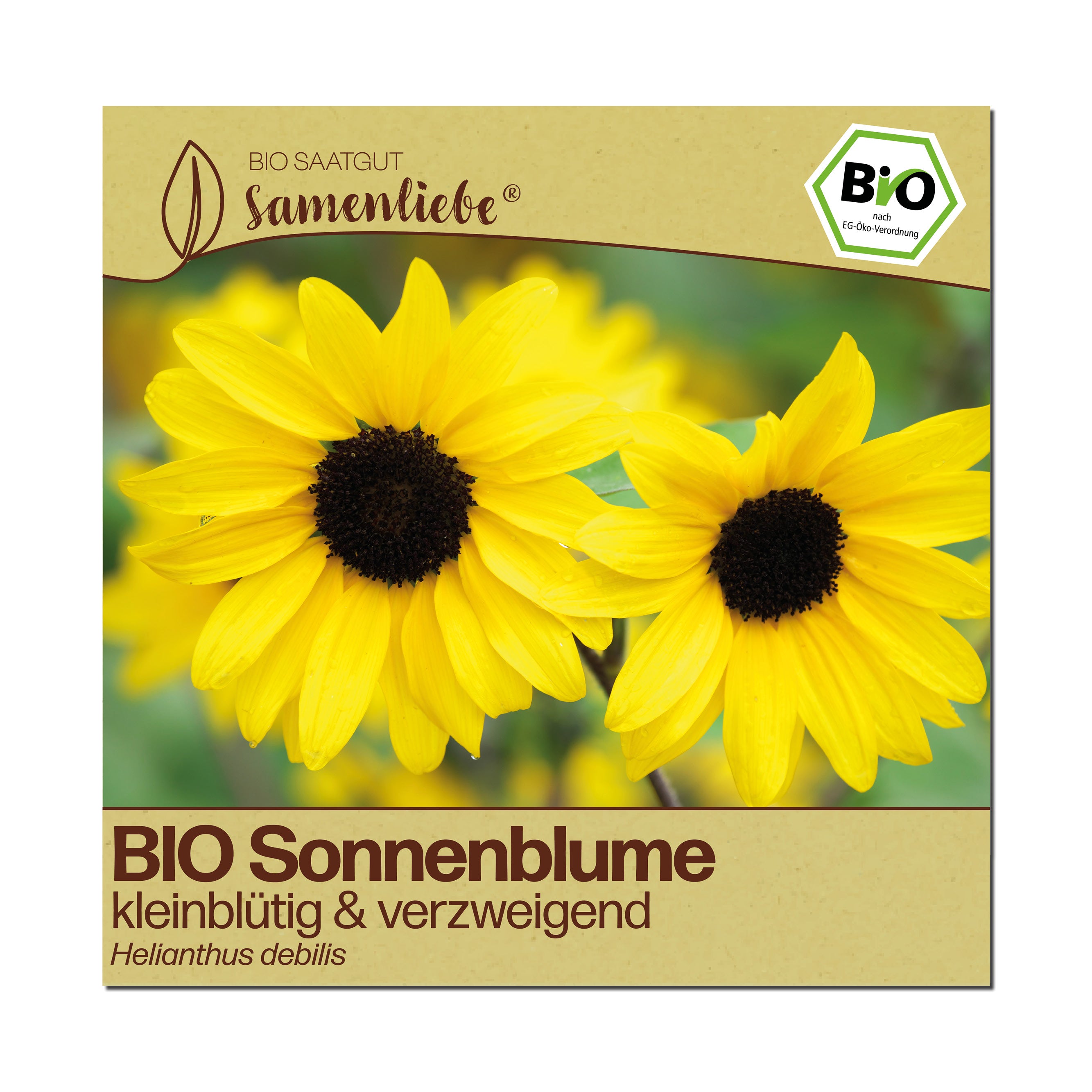 BIO Sonnenblume "kleinblütig & verzweigend"