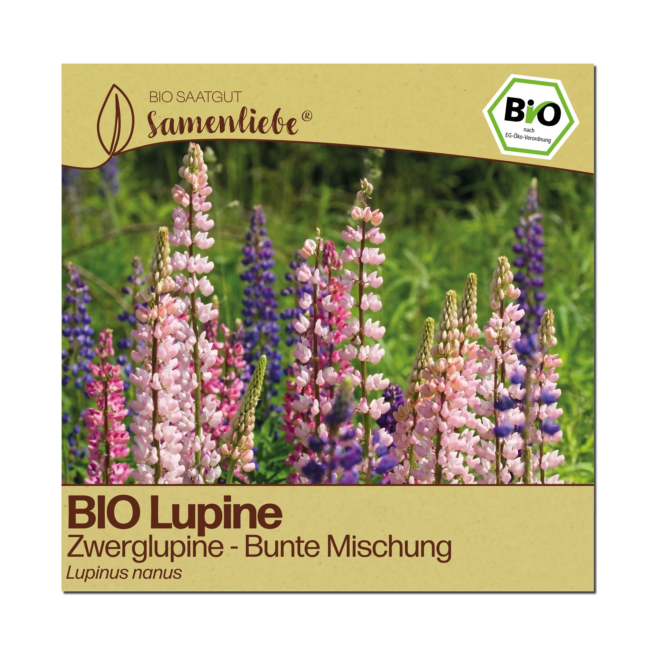 BIO Zwerglupine "Bunte Mischung"