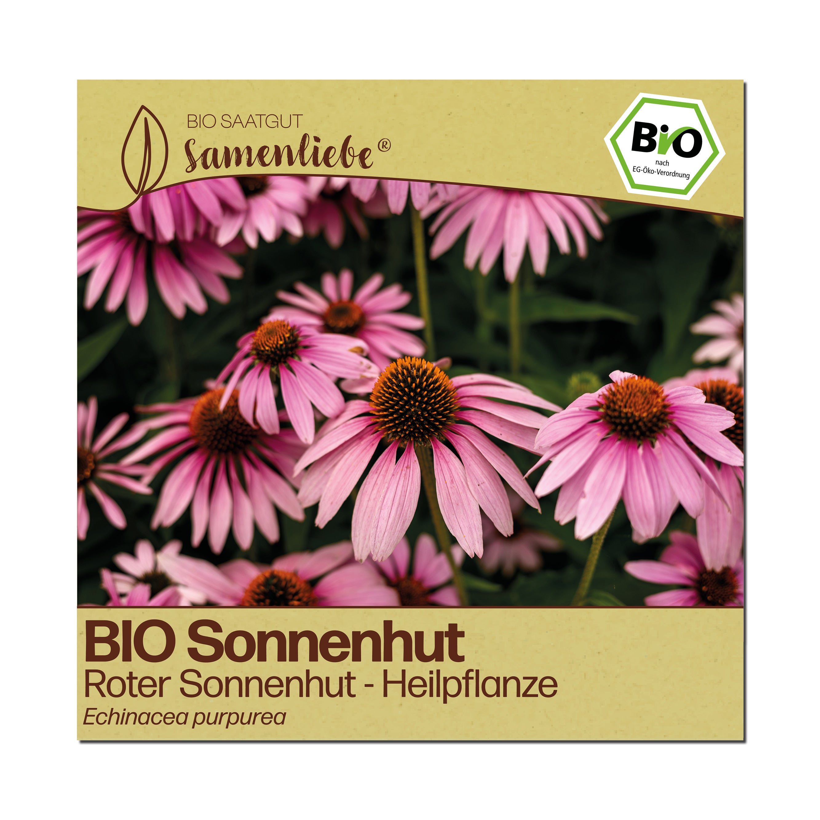 BIO Sonnenhut "Roter Sonnenhut"