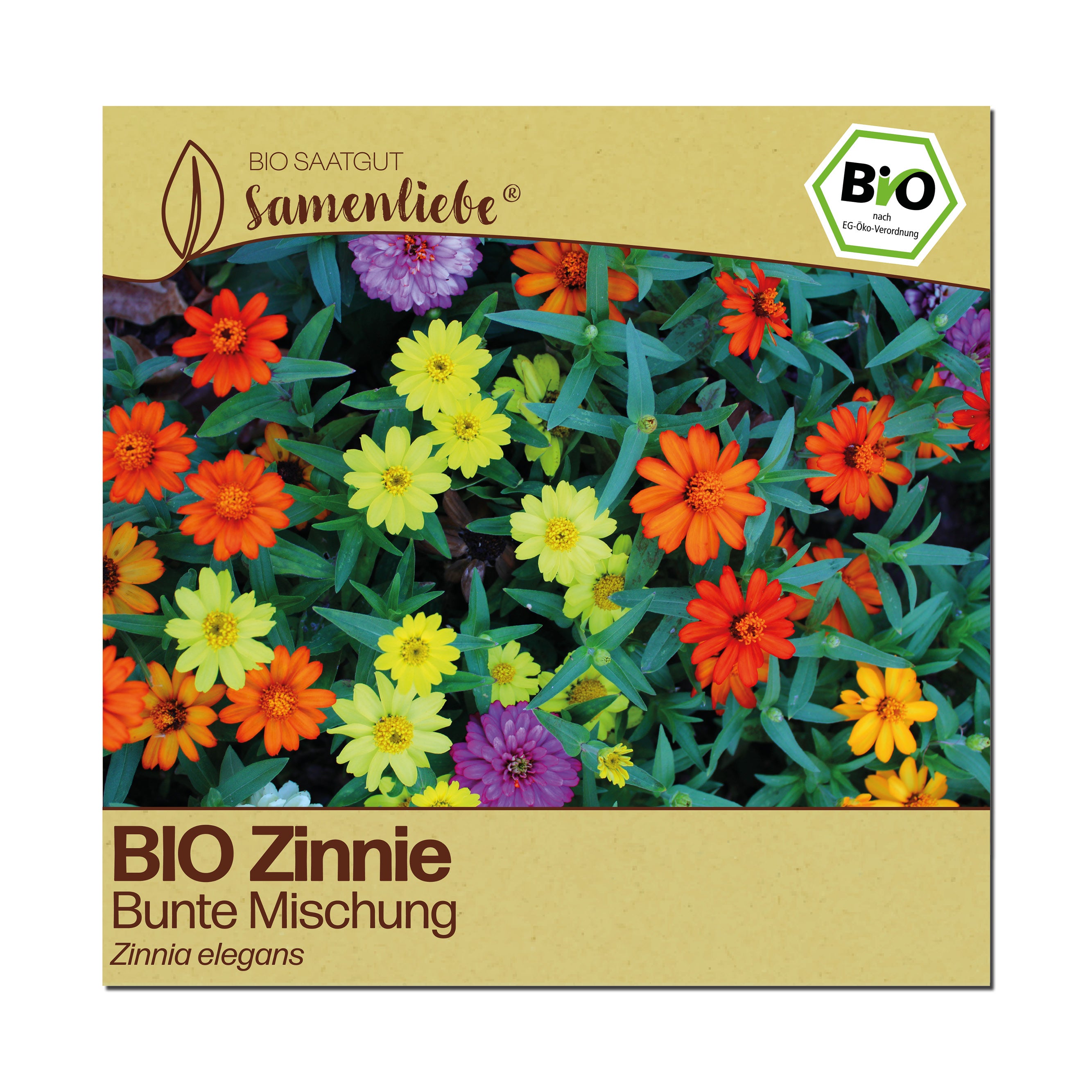 BIO Zinnie "Zierblume"