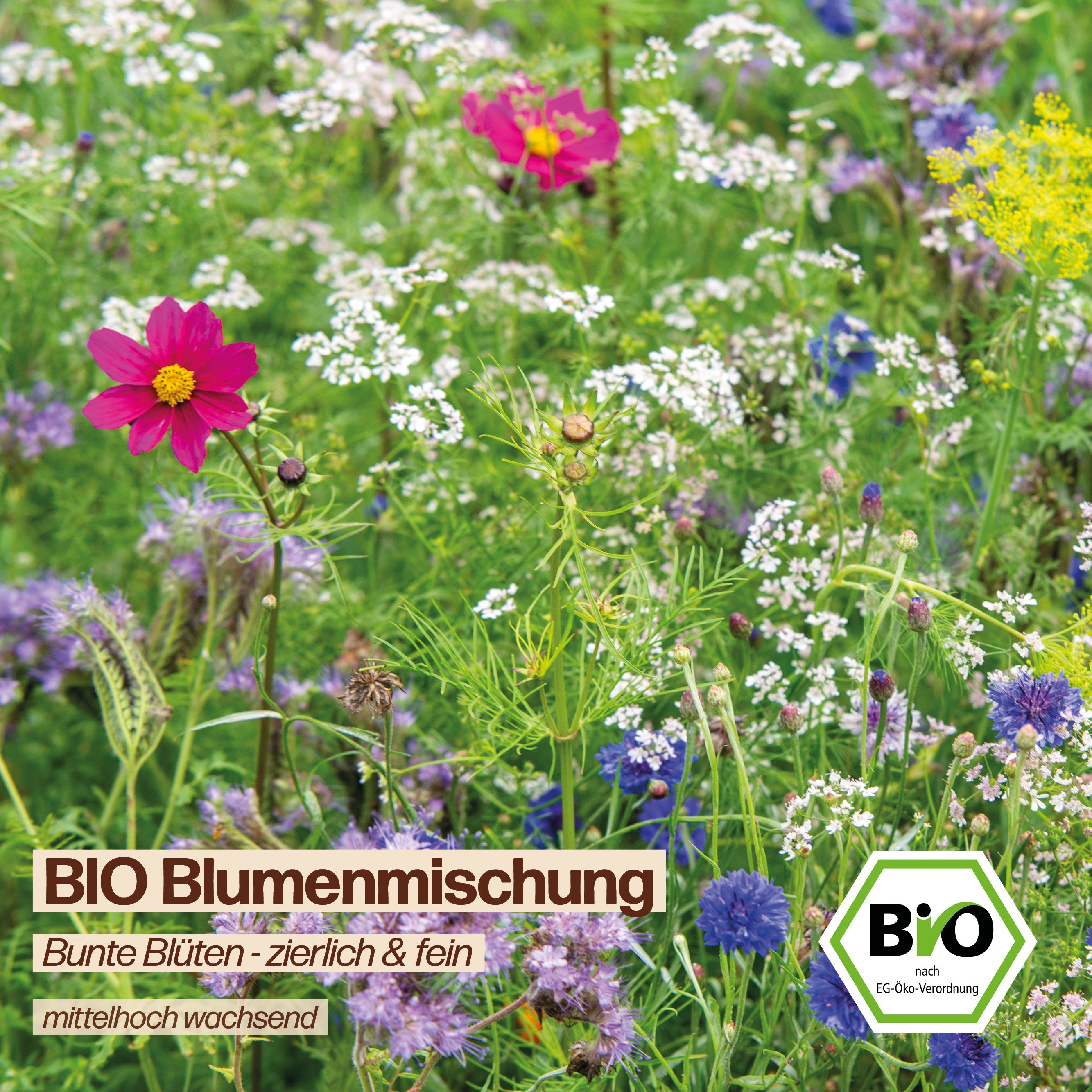 BIO Feinblütige "Zierliche Blumen"