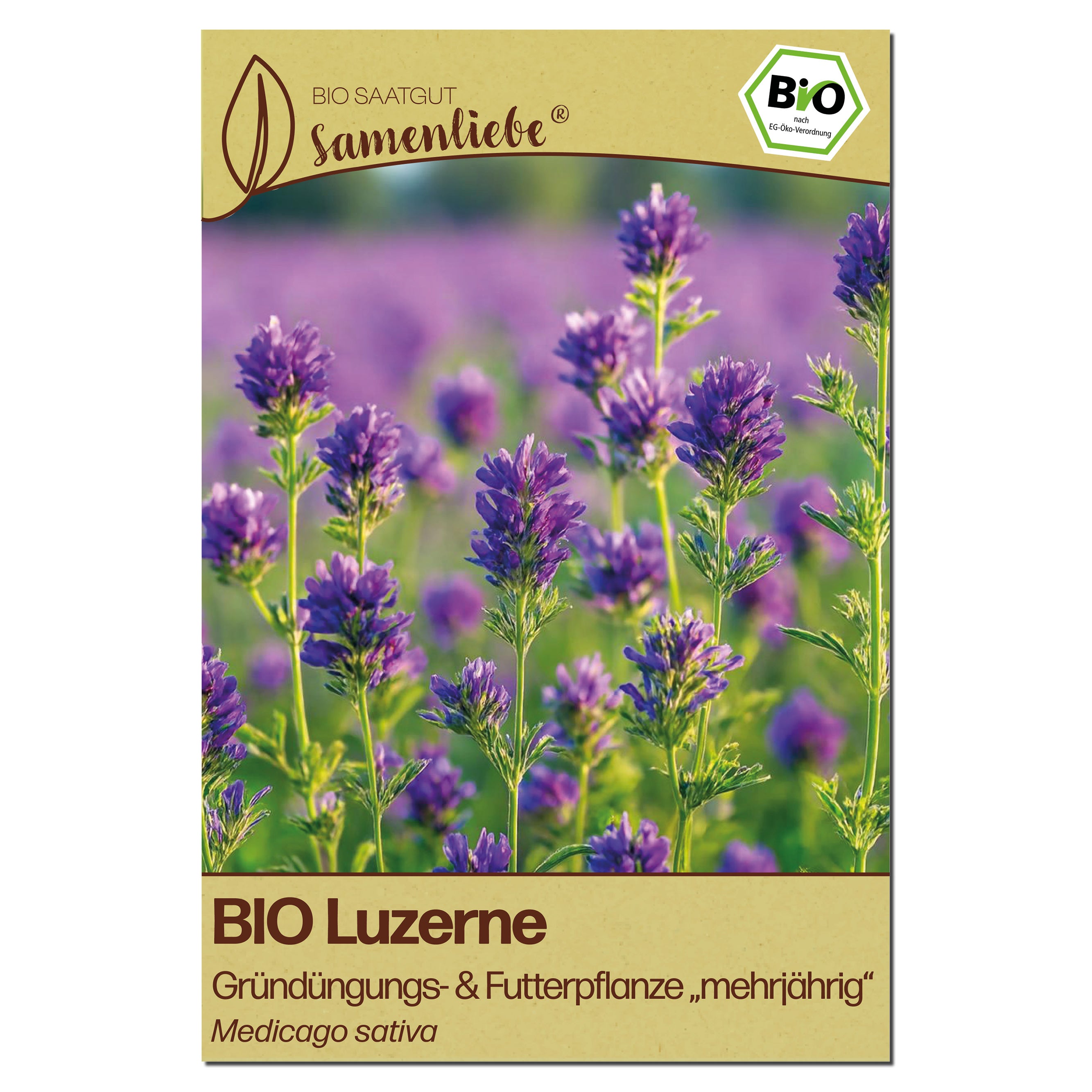 BIO Luzerne Samen