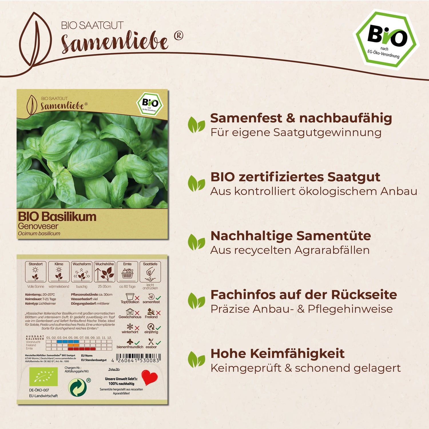 BIO Basilikum "italienischer Genoveser"