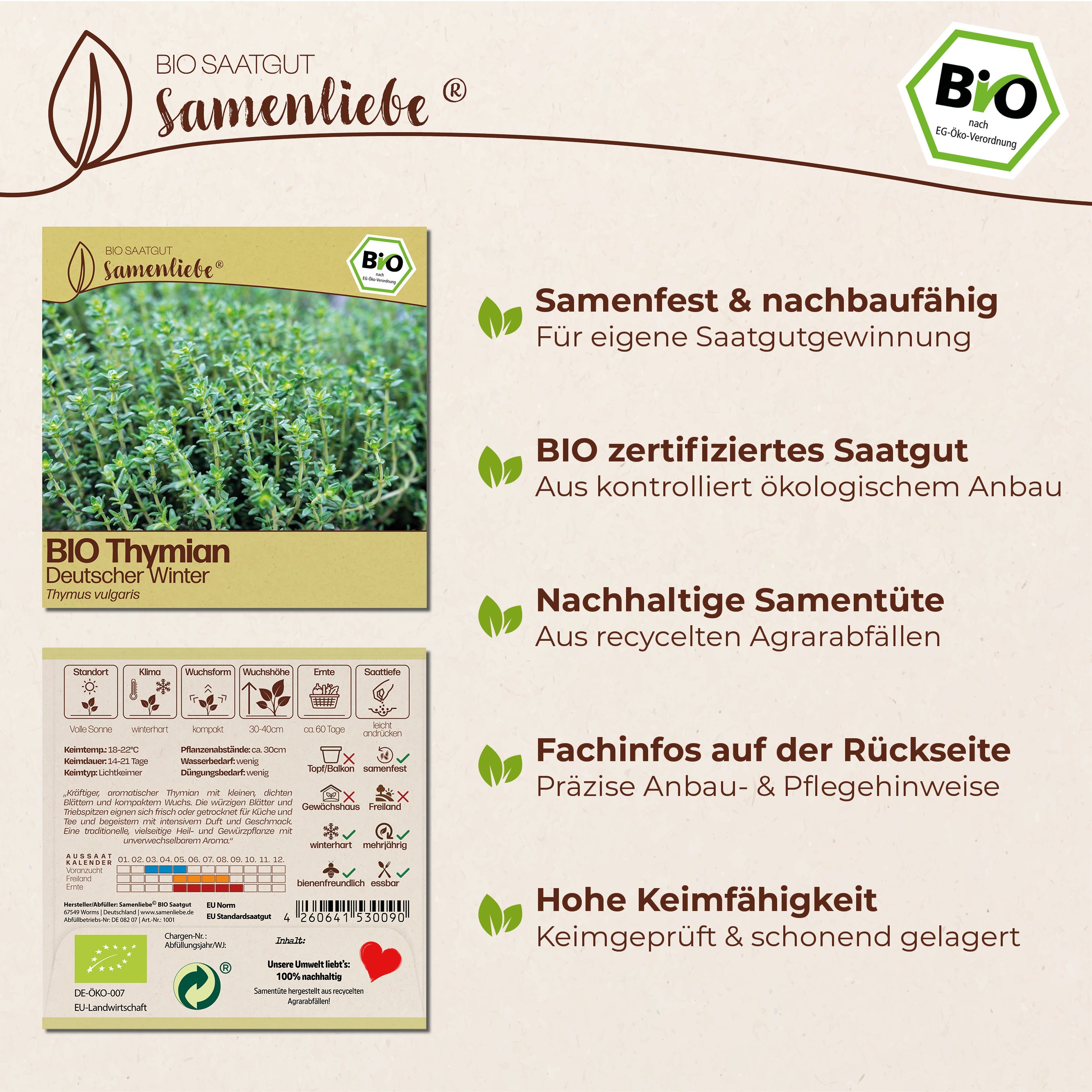 BIO Thymian "Deutscher Winter"