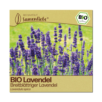 BIO Lavendel "Breitblättriger Lavendel"