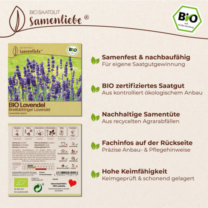 BIO Lavendel "Breitblättriger Lavendel"