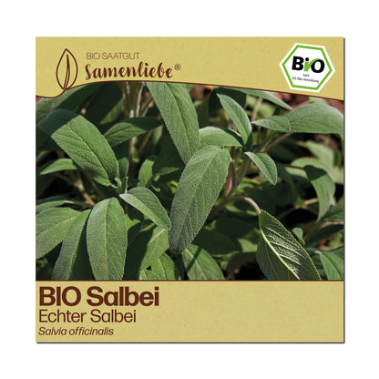 BIO Salbei "Echter Salbei"