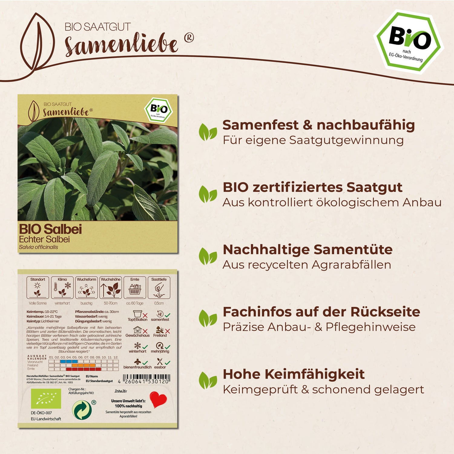 BIO Salbei "Echter Salbei"