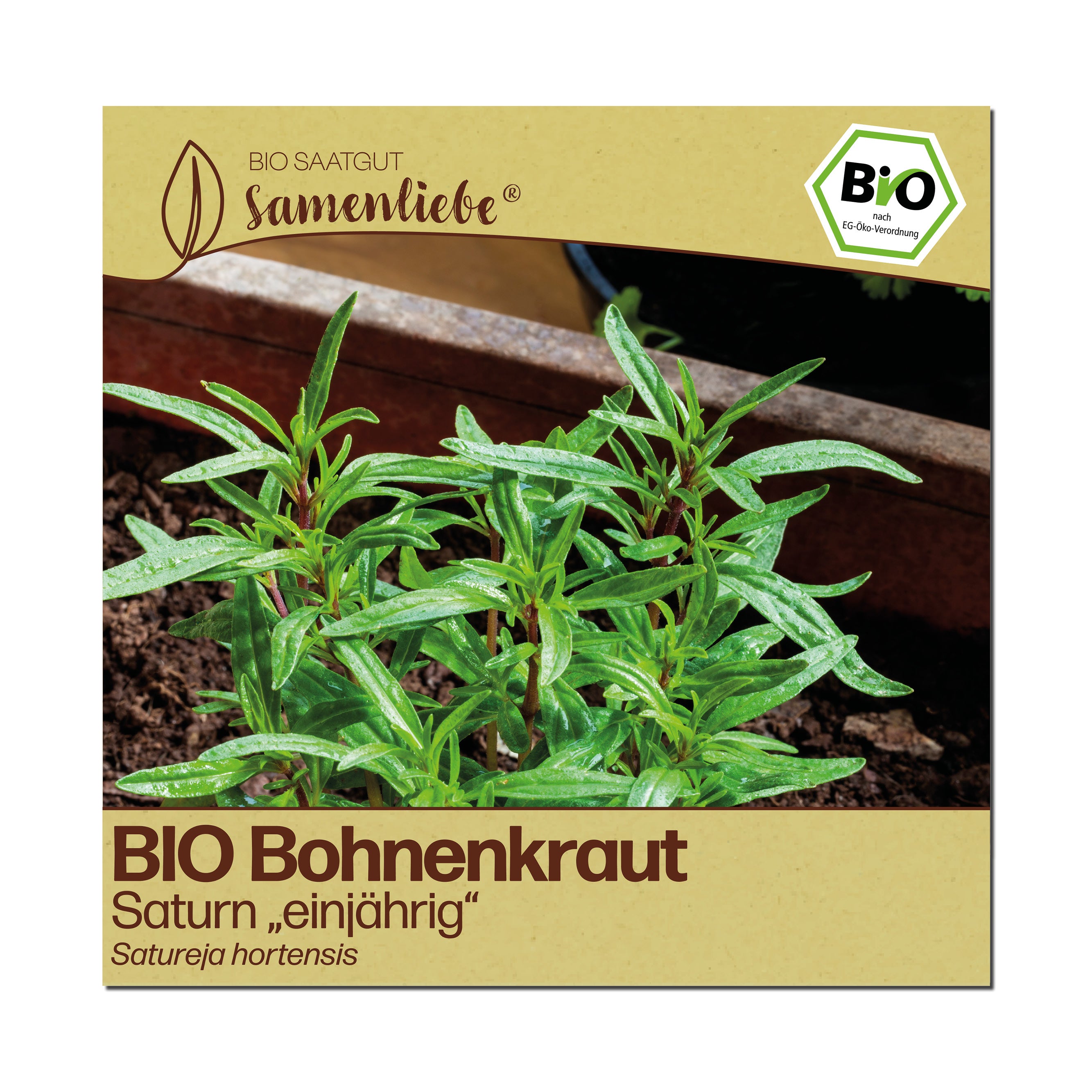 BIO Bohnenkraut "Saturn"