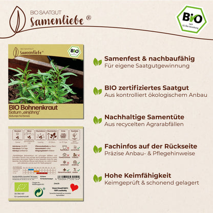 BIO Bohnenkraut "Saturn"