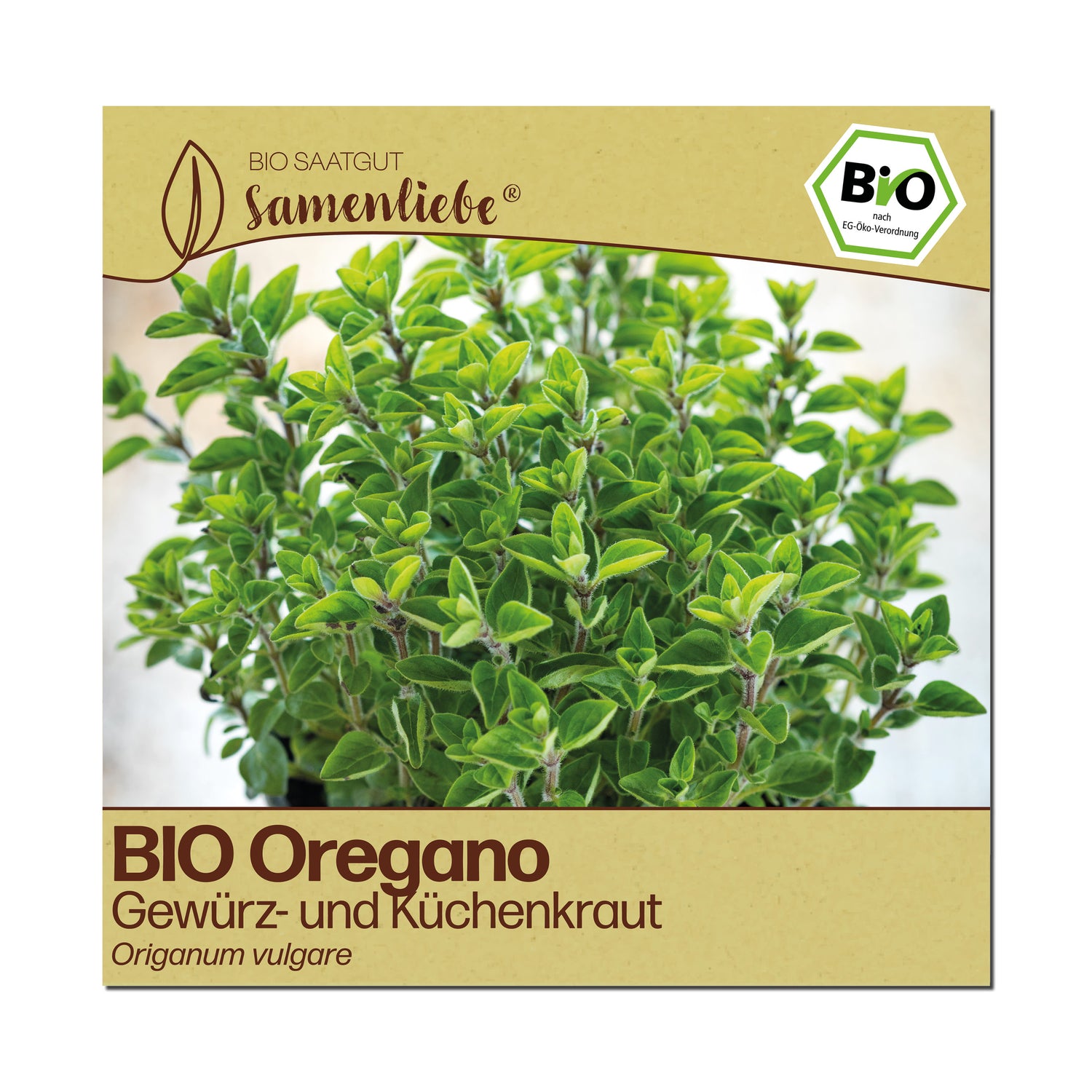 BIO Oregano "Küchenkraut"