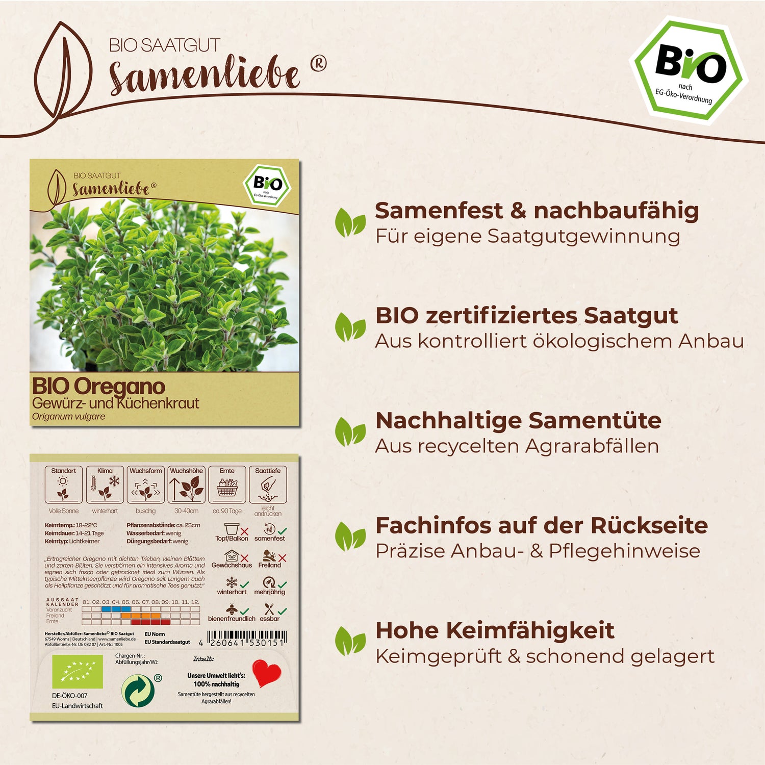 BIO Oregano "Küchenkraut"