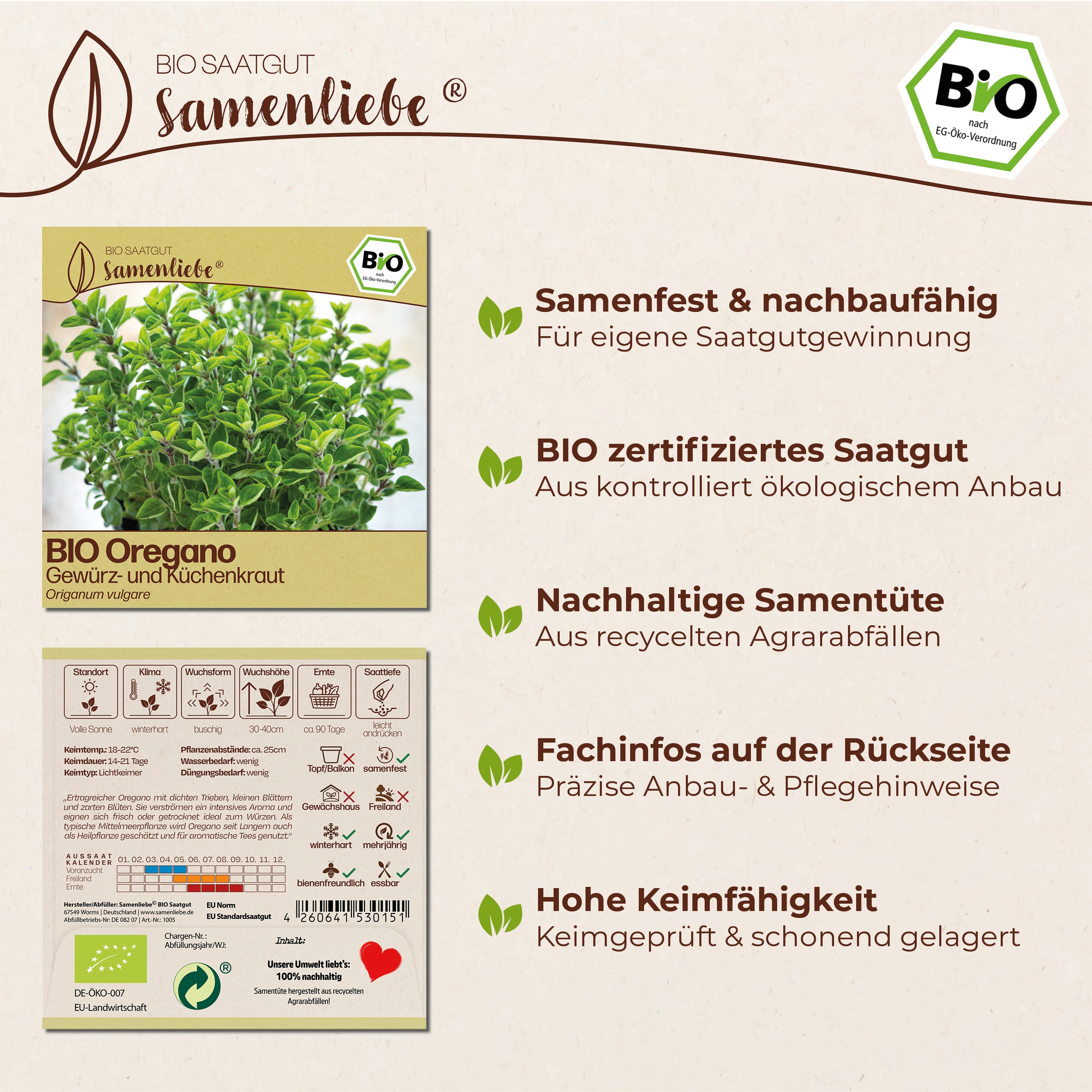 BIO Oregano "Küchenkraut"