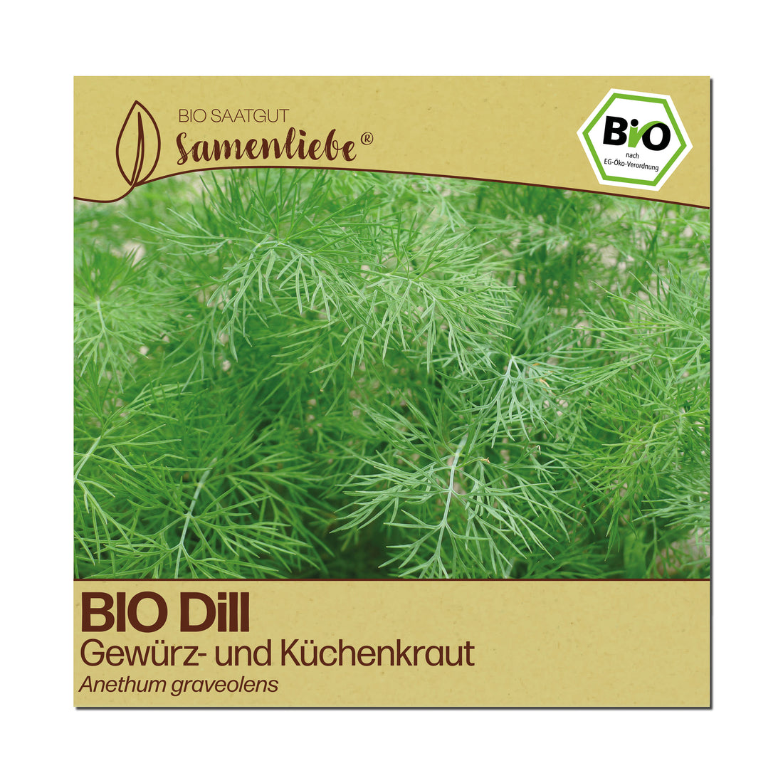 BIO Dill "Küchenkraut &amp; Gurkenkraut"