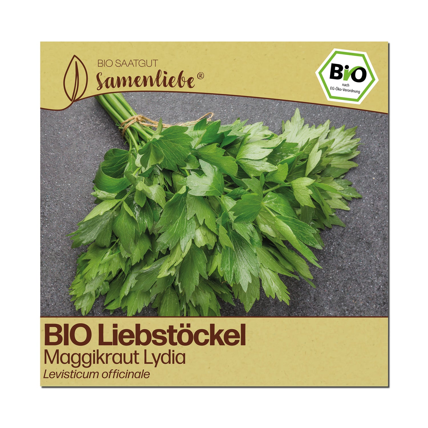 BIO Liebstöckel "Maggikraut Lydia"