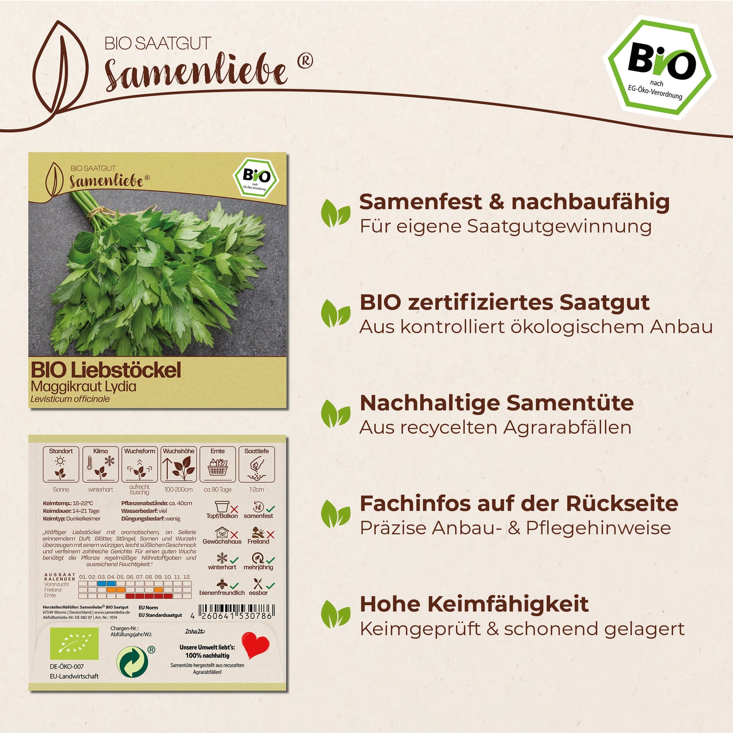 BIO Liebstöckel "Maggikraut Lydia"