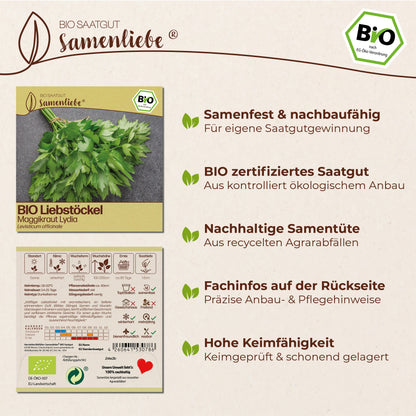 BIO Liebstöckel "Maggikraut Lydia"