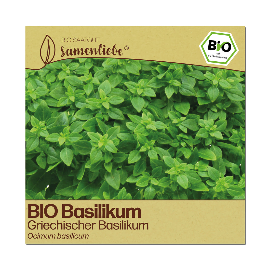 BIO Basilikum "Griechischer Buschbasilikum"