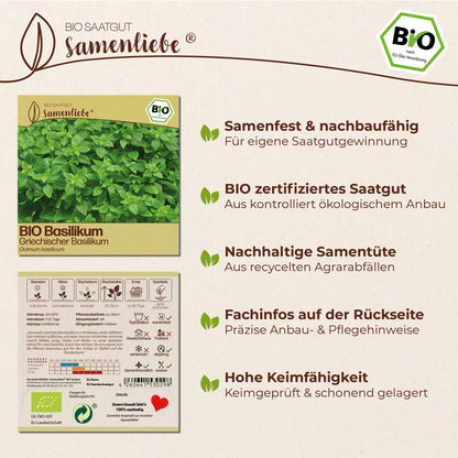 BIO Basilikum "Griechischer Buschbasilikum"