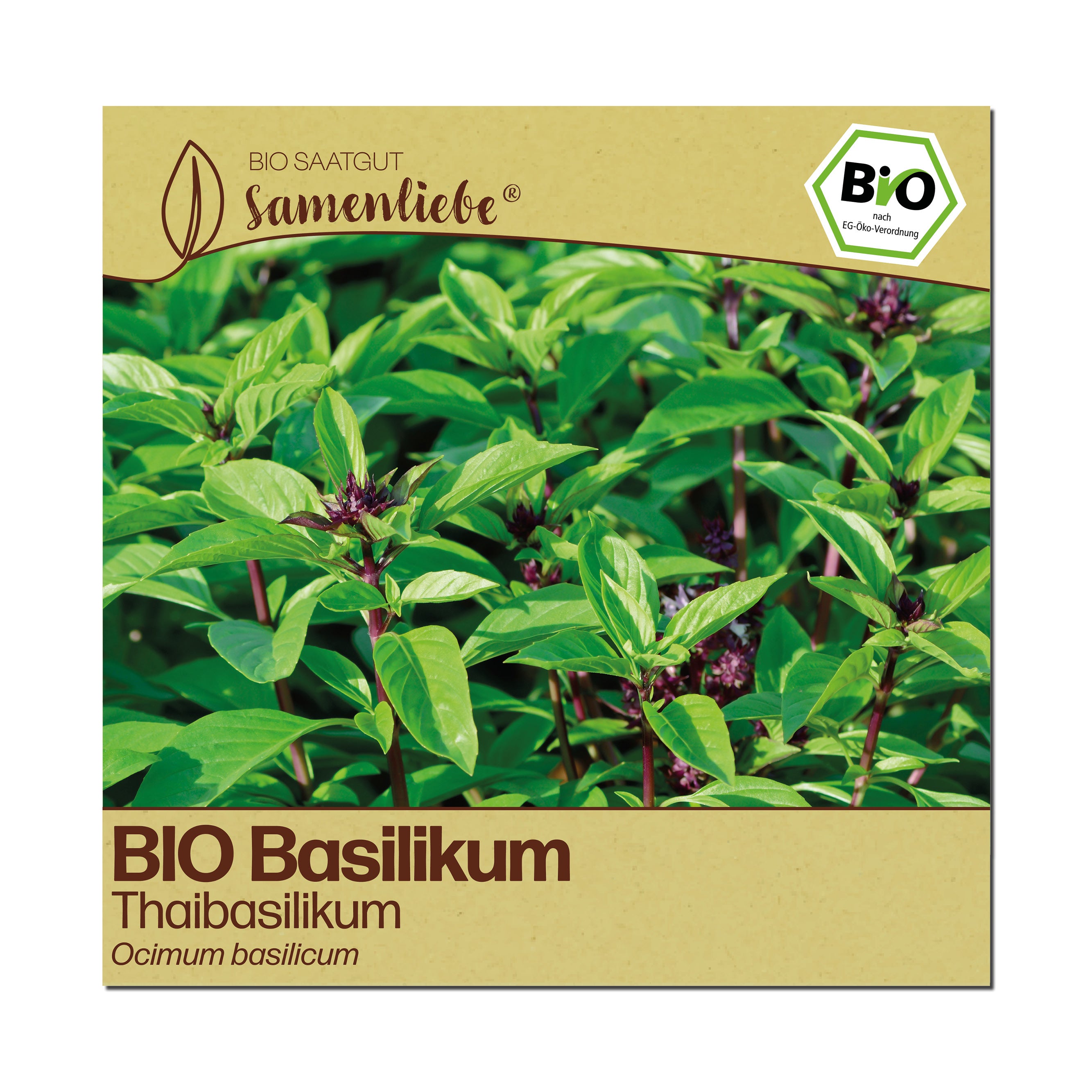 BIO Basilikum "Thaibasilikum"