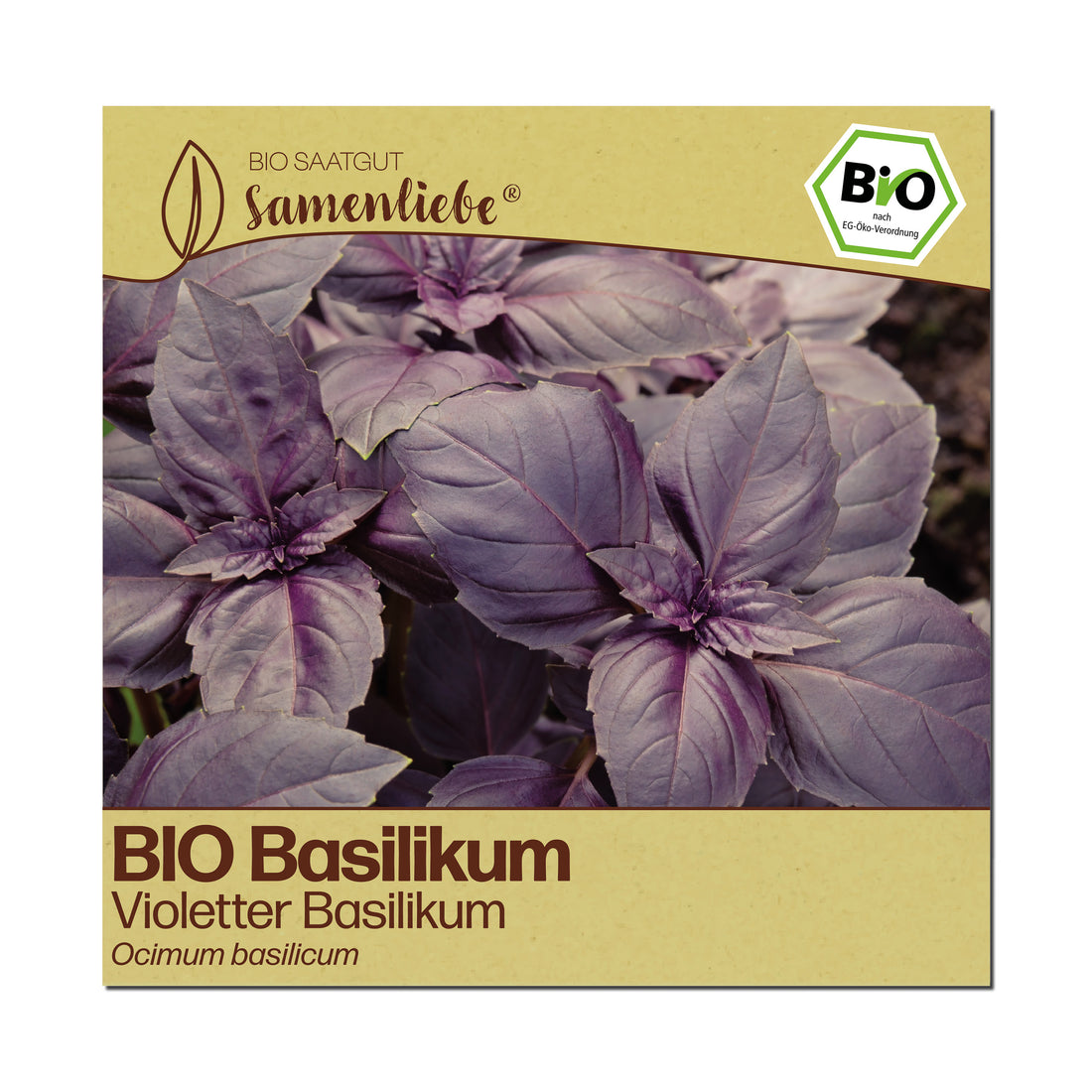 BIO Basilikum "Violetter Basilikum"