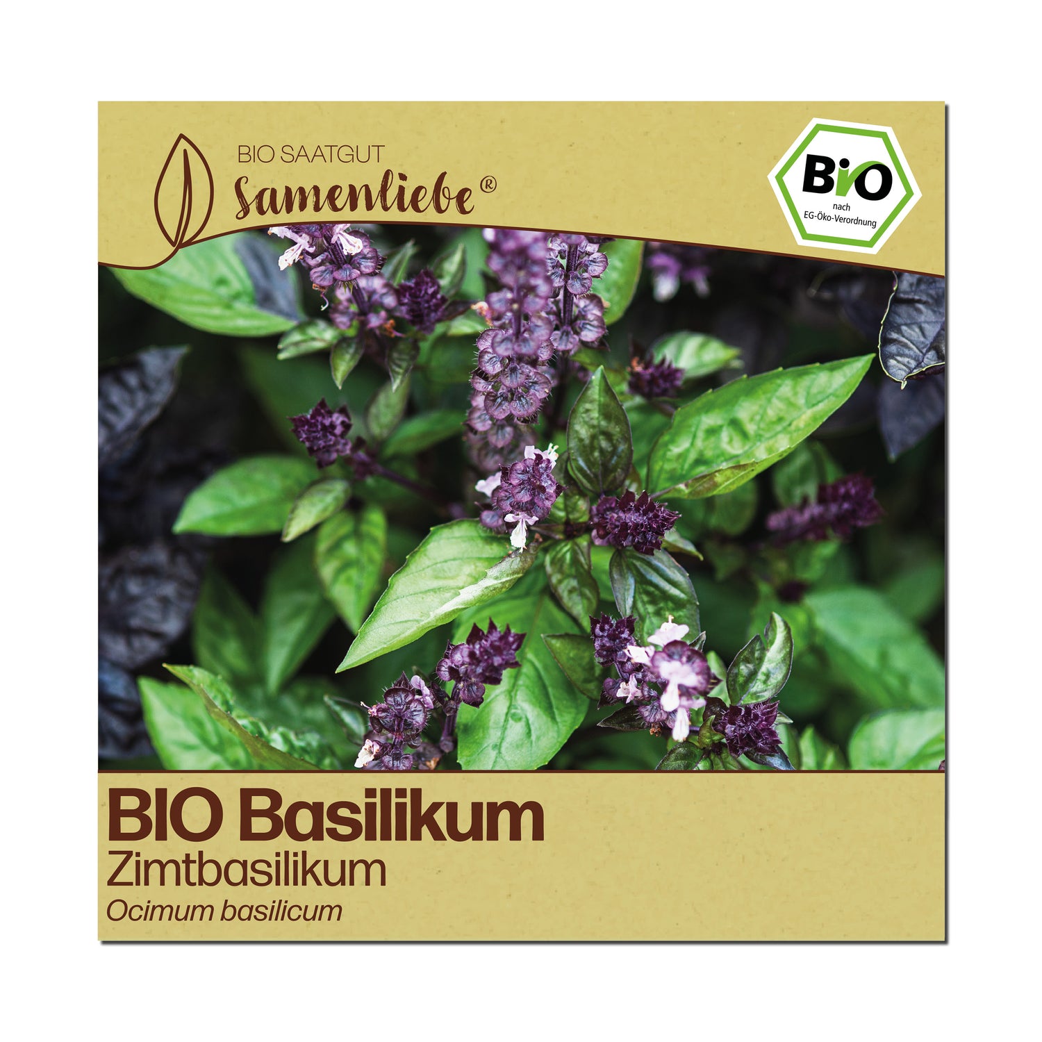 BIO Basilikum "Zimtbasilikum"