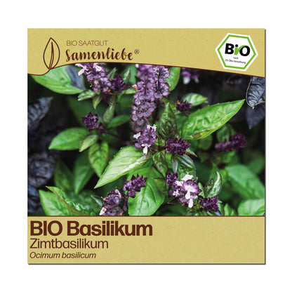 BIO Basilikum "Zimtbasilikum"