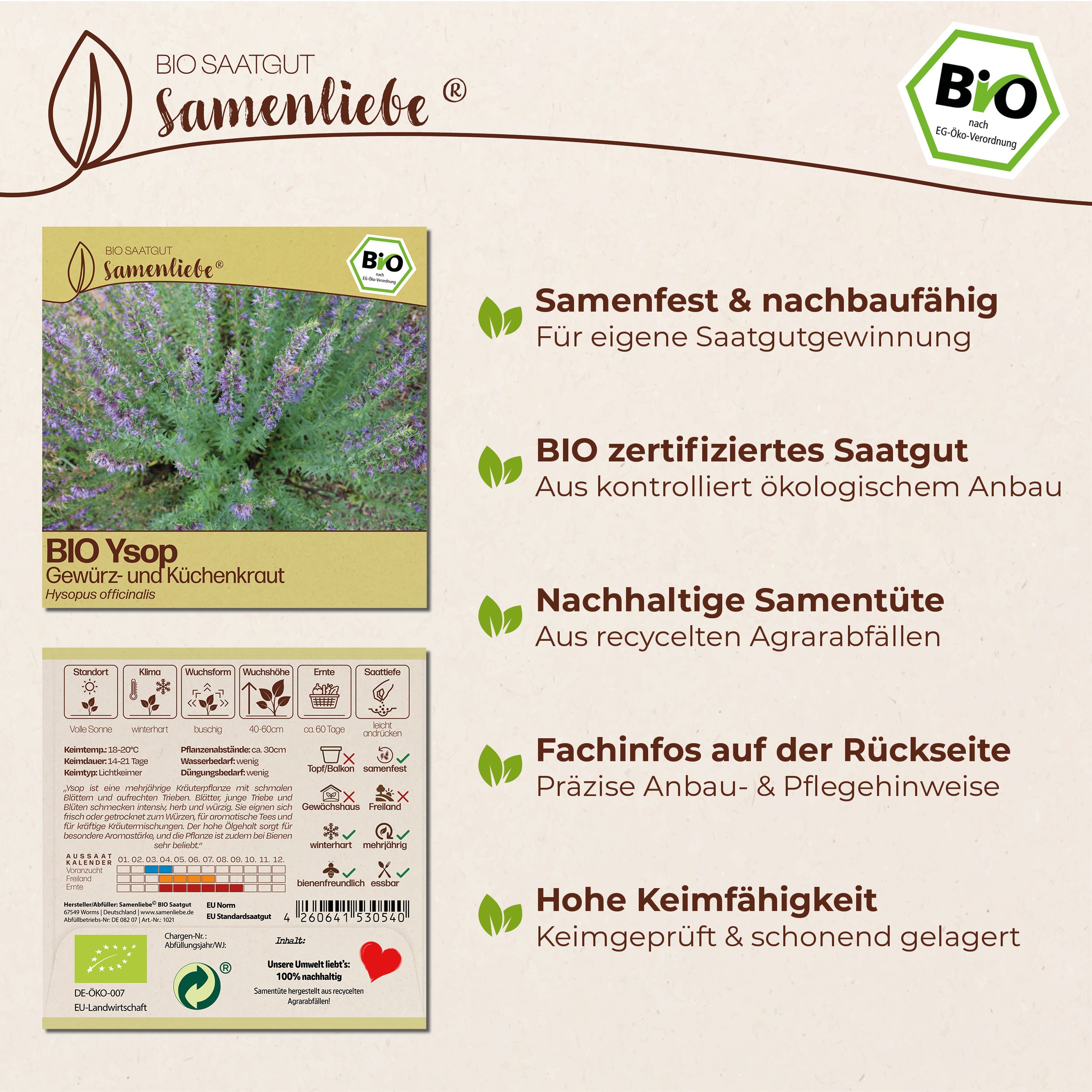 BIO Ysop "Heilpflanze"