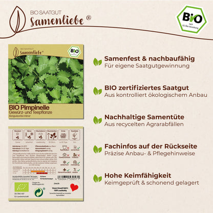 BIO Pimpinelle "Kleiner Wiesenknopf"