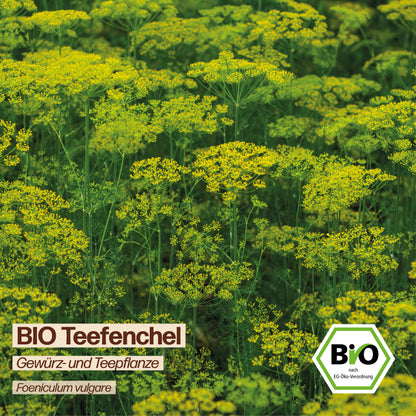 BIO Fenchel "Teefenchel"