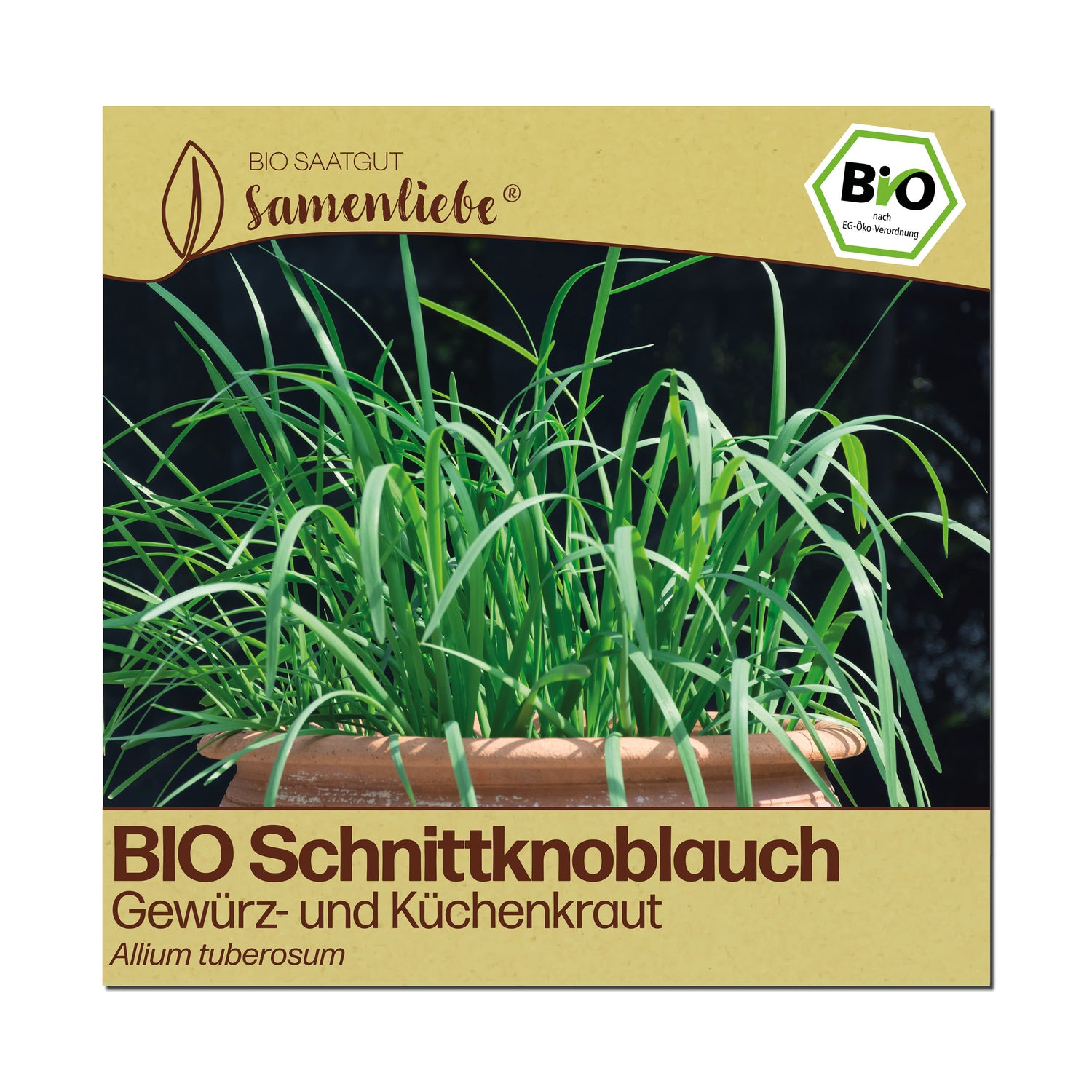 BIO Schnittknoblauch "Küchenkraut"