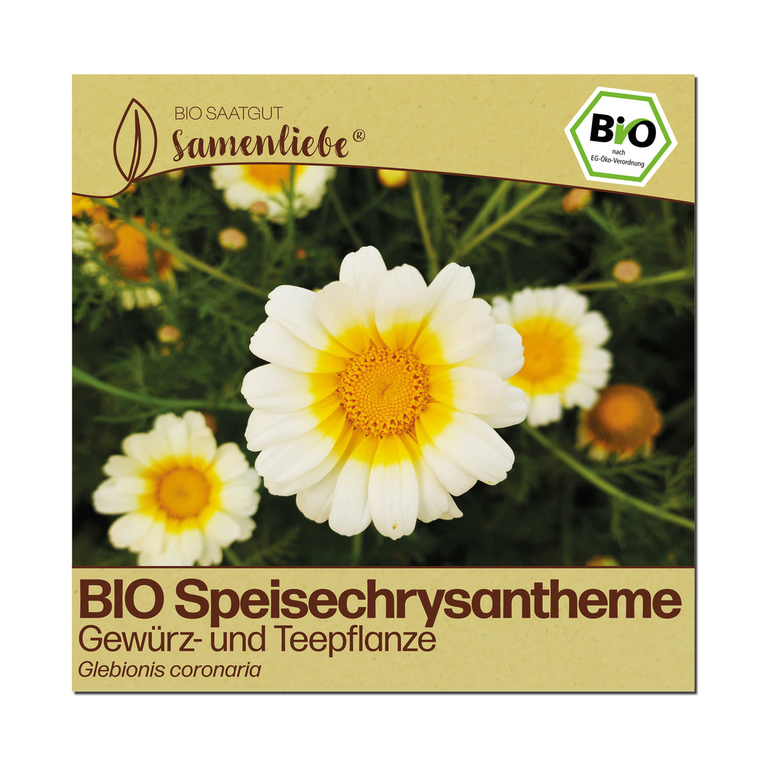 BIO Speisechrysantheme "essbare Blüten"