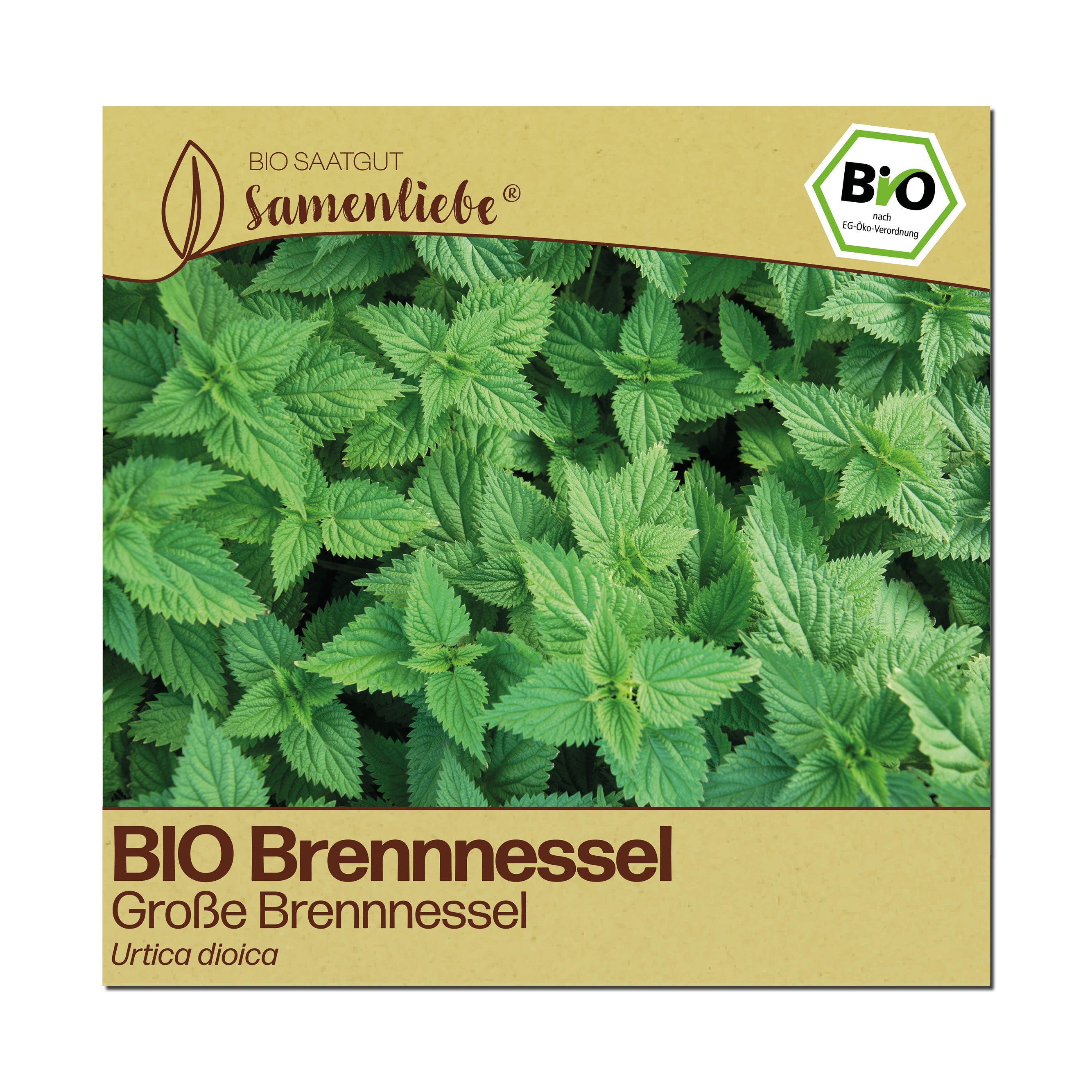 BIO Brennnessel "Große Brennnessel"