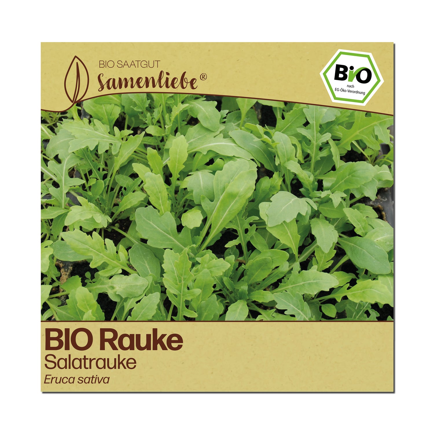 BIO Rauke "Salatrauke"