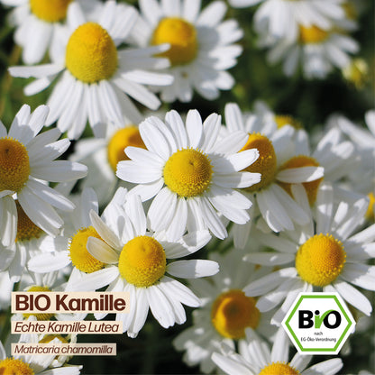 BIO Kamille "Echte Kamille"