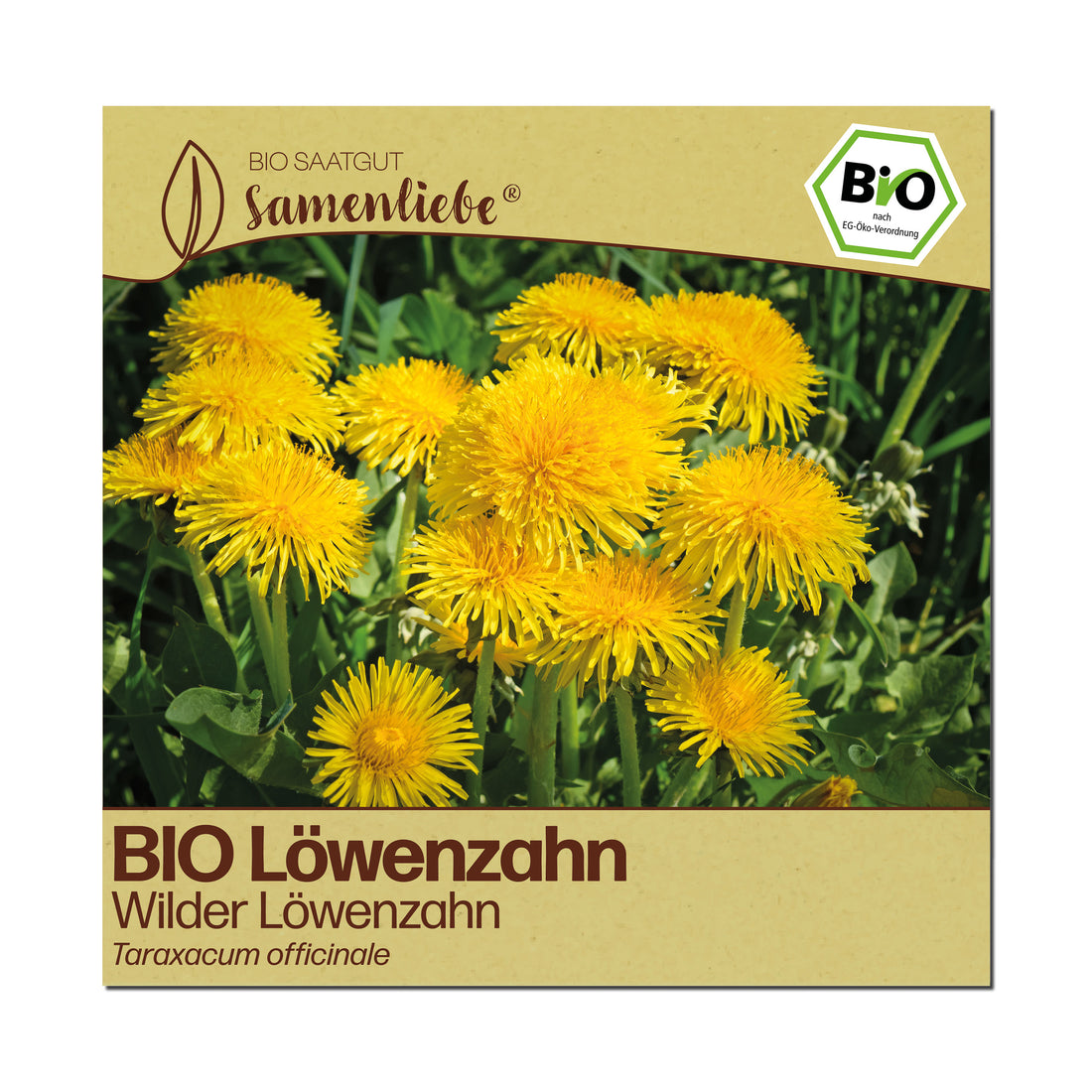 BIO Löwenzahn "Wilder Löwenzahn"