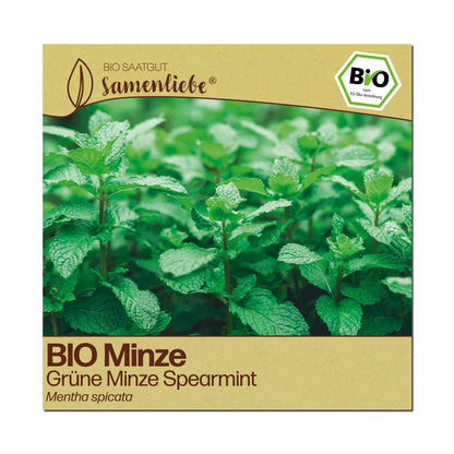BIO Minze "Grüne Cocktail-Minze"