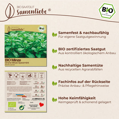 BIO Minze "Grüne Cocktail-Minze"