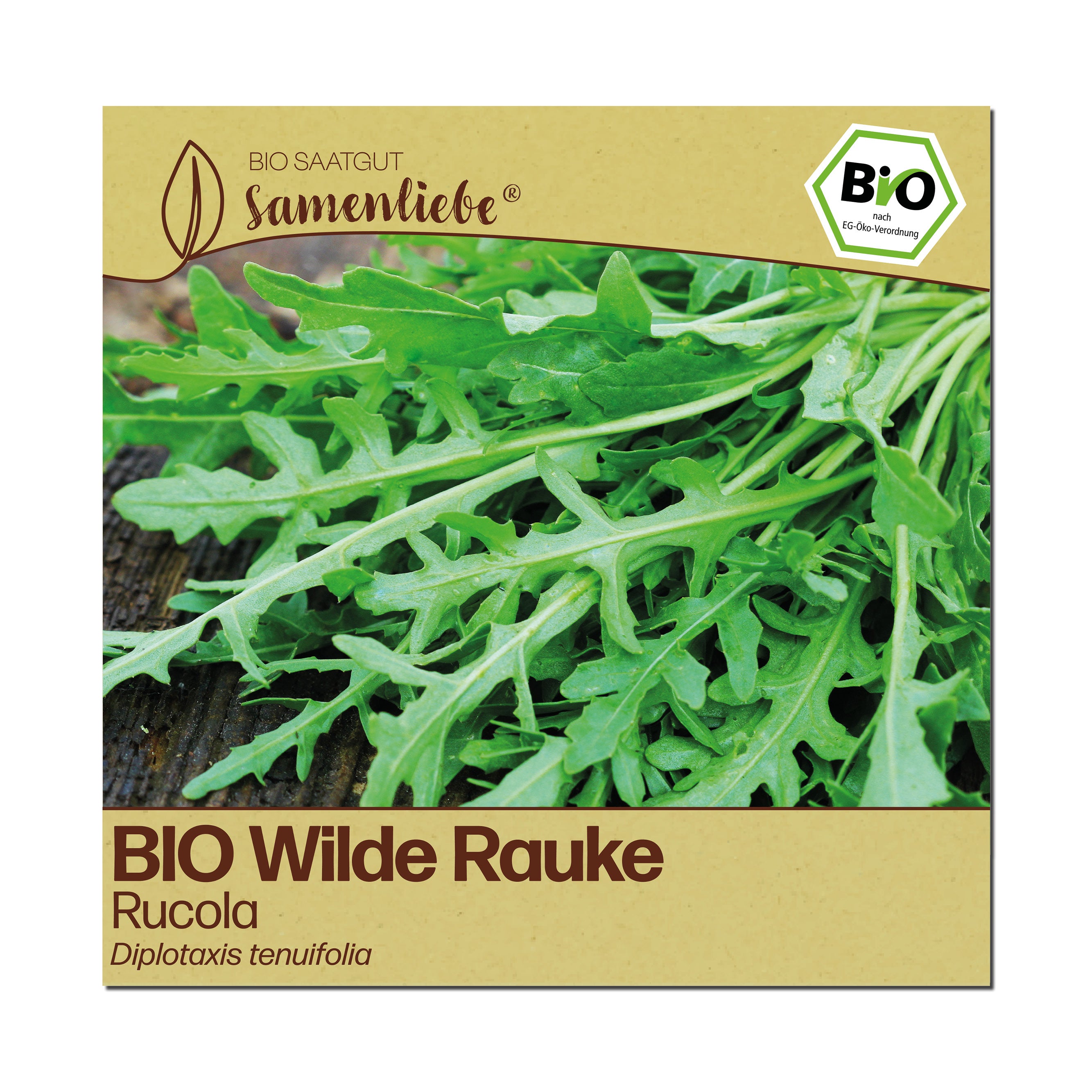 BIO Wilde Rauke "Rucola"