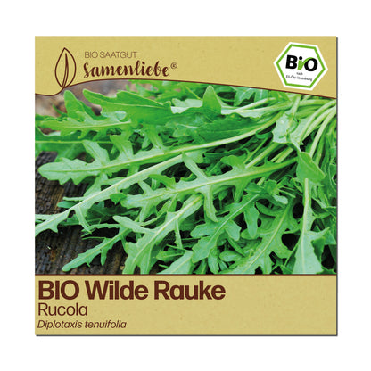 BIO Wilde Rauke "Rucola"