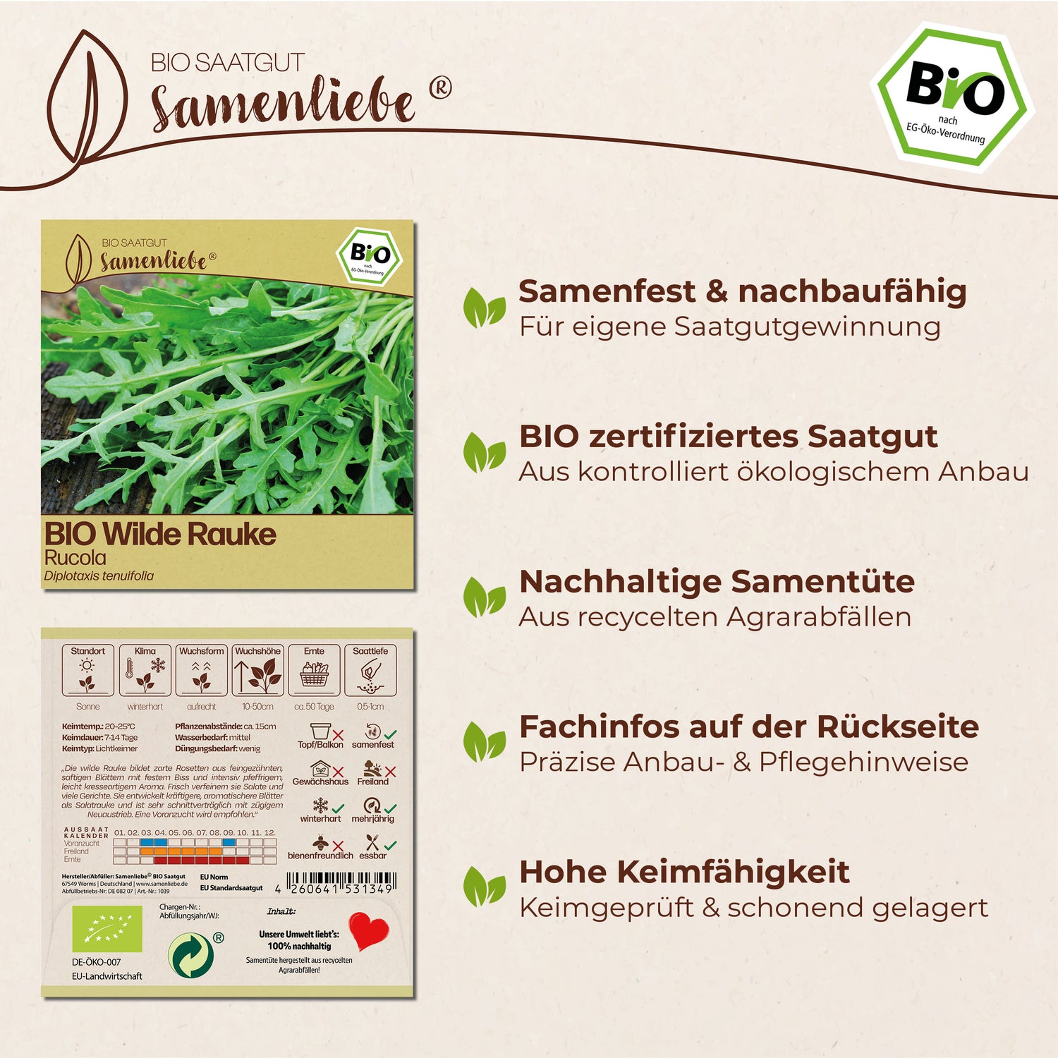 BIO Wilde Rauke "Rucola"