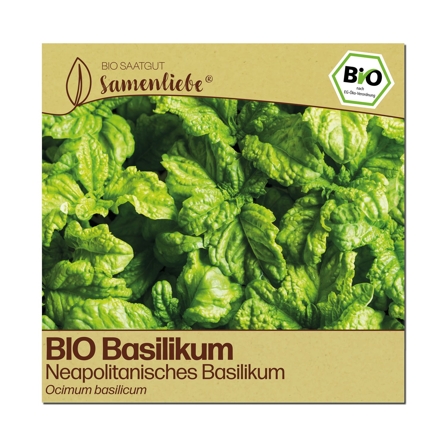 BIO Basilikum "italienischer Neapolitano"