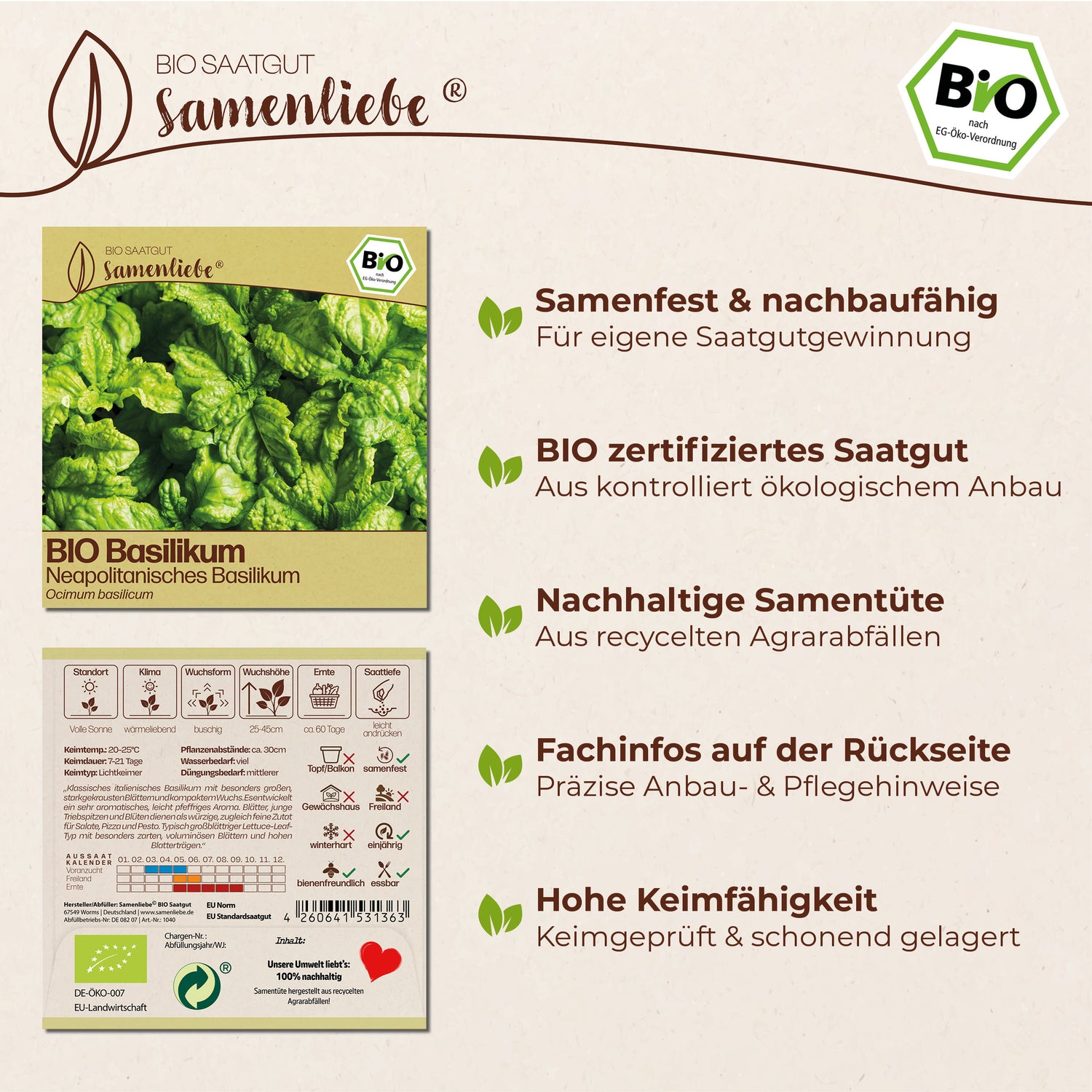 BIO Basilikum "italienischer Neapolitano"