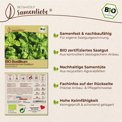 BIO Basilikum "italienischer Neapolitano"