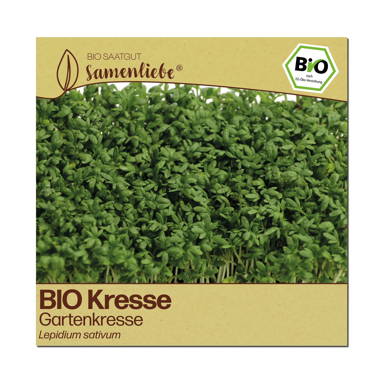 BIO Kresse "Gartenkresse &amp; Küchenkraut"