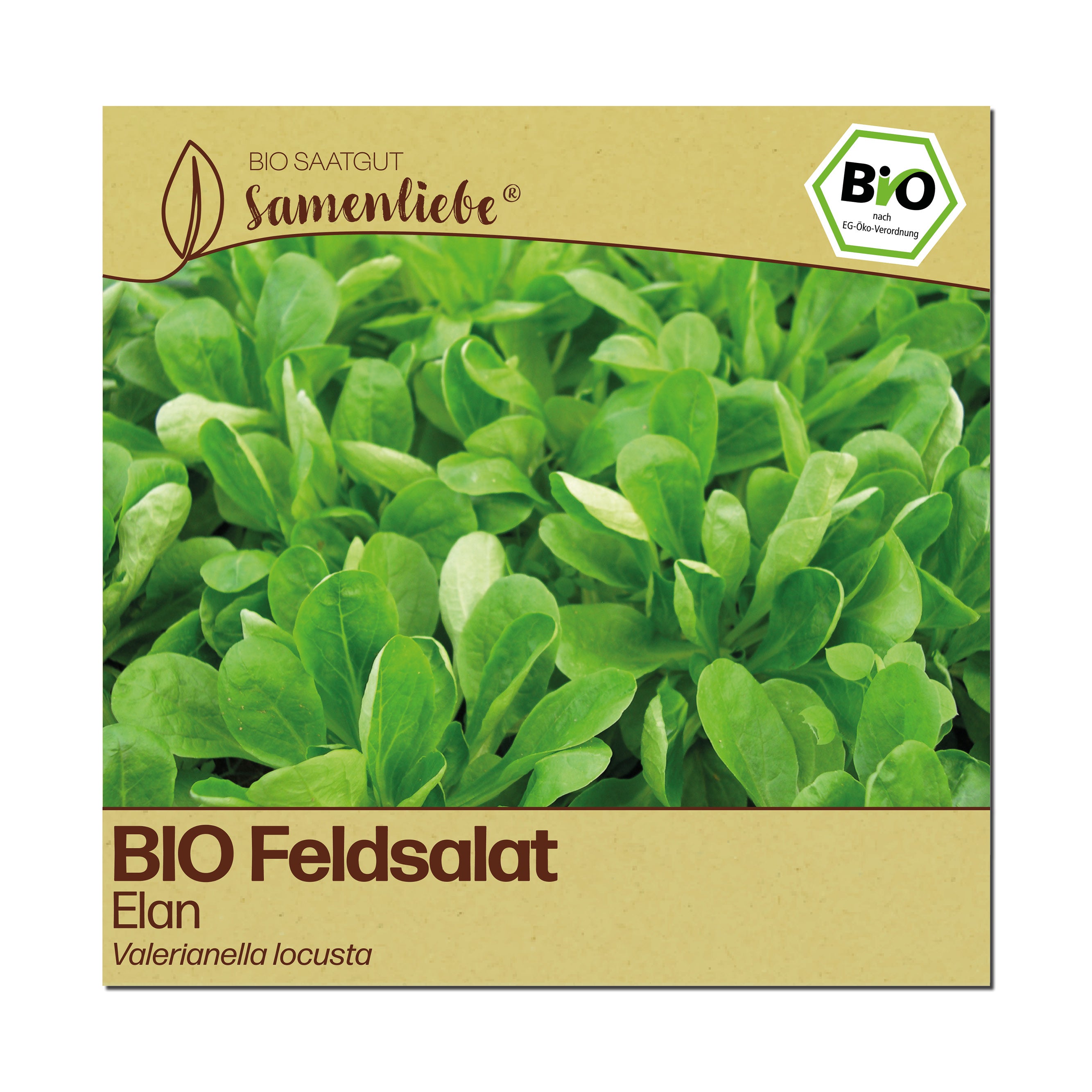BIO Feldsalat "Elan"